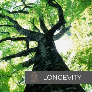 Longevity